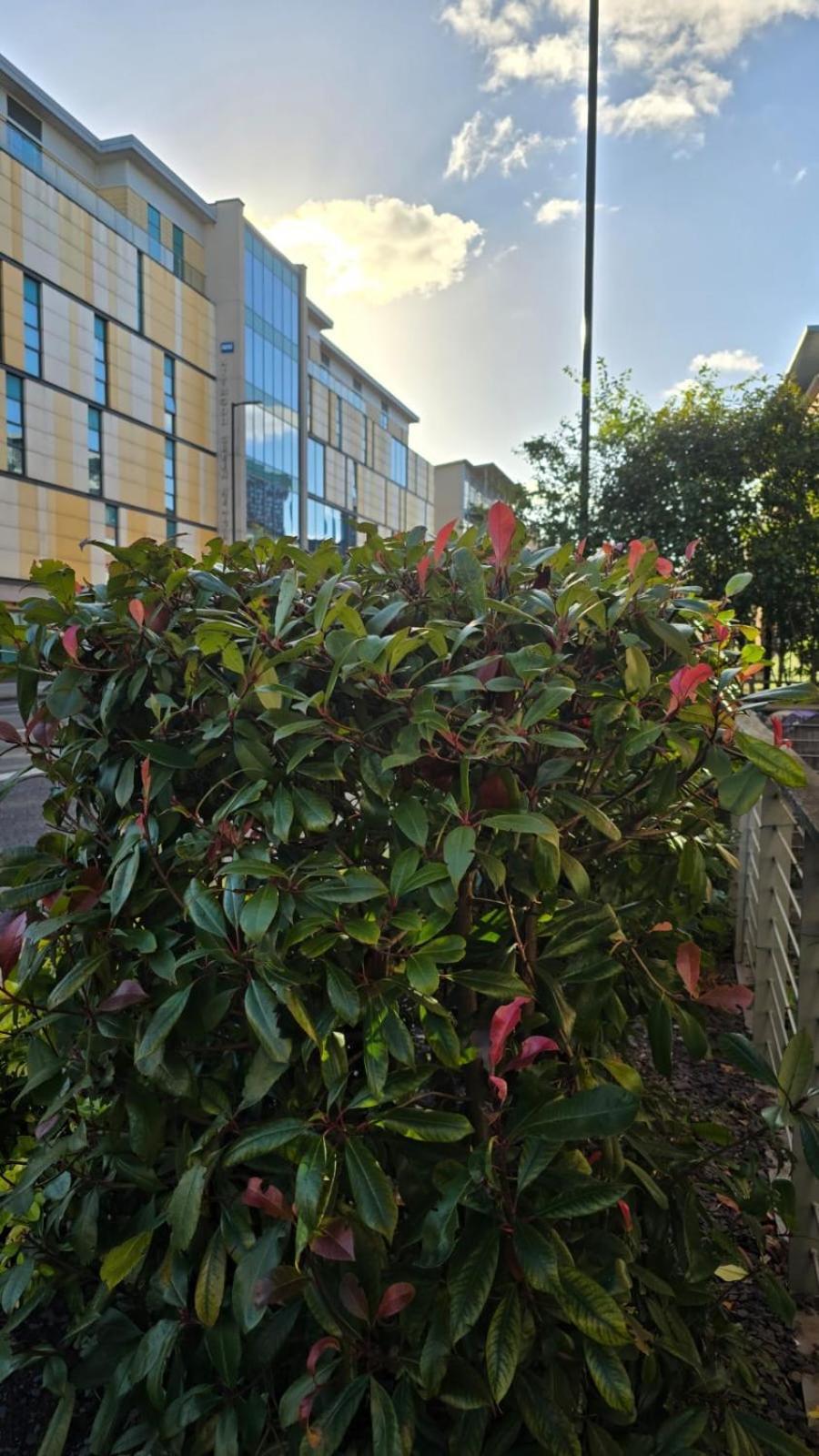 Luxury Green 1 Bed City Centre Apartment Close To Mailbox,Bullring, Broad Street For Leisure And Families Birmingham Exteriör bild
